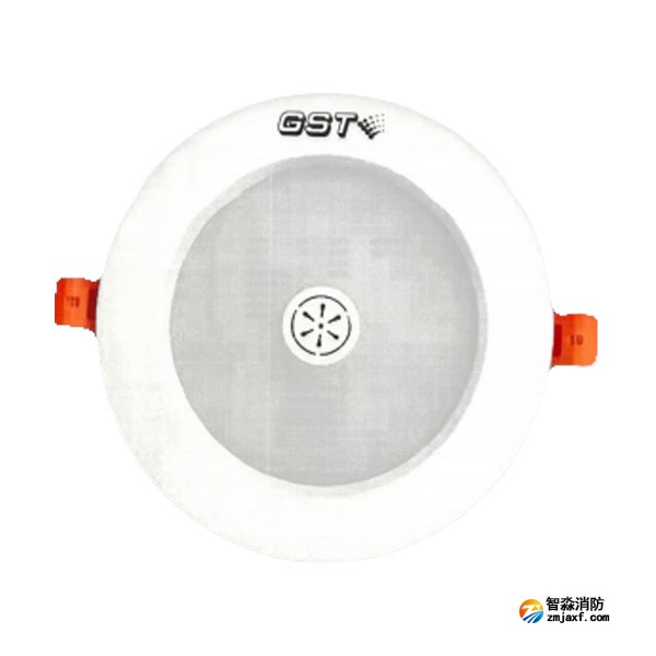 西藏海灣HW-ZFJC-E6W-N651SG集中電源集中控制型消防應(yīng)急照明燈具